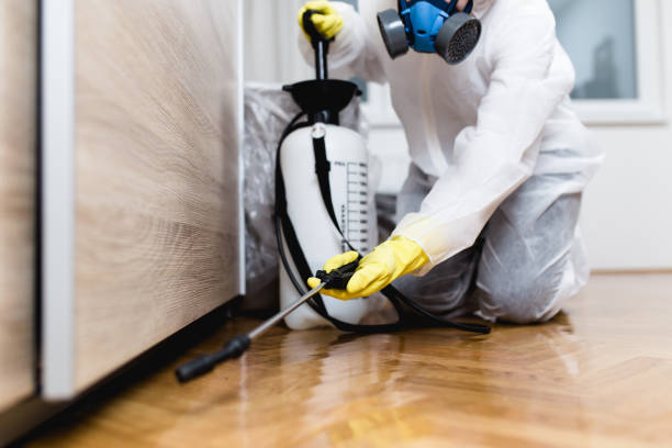 Best Exterminator Services  in Bovina, TX