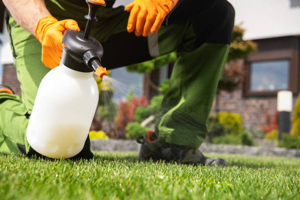 Best Pest Control Near Me  in Bovina, TX