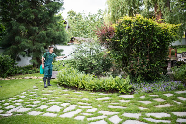 Best Local Pest Control Services  in Bovina, TX