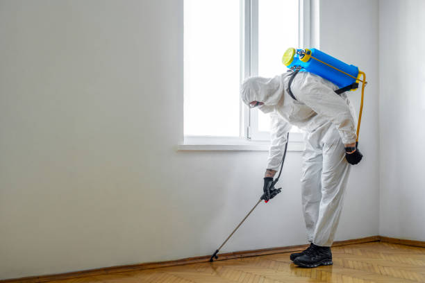 Best Pest Control Treatment  in Bovina, TX
