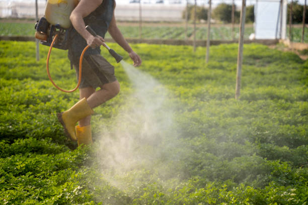 Best Residential Pest Control  in Bovina, TX