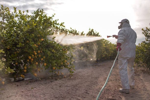 Best Pest Inspection Near Me  in Bovina, TX