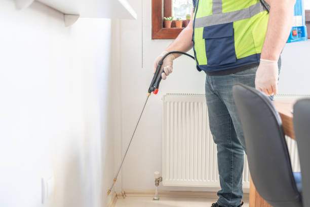 Wasp Removal Services in Bovina, TX