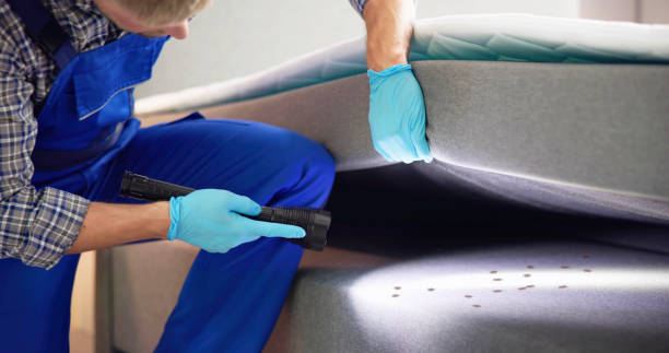 Best Termite Control Services  in Bovina, TX