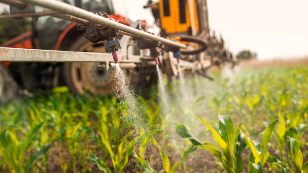 Best Ant Control Services  in Bovina, TX