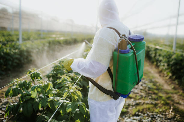 Best Pest Prevention Services  in Bovina, TX